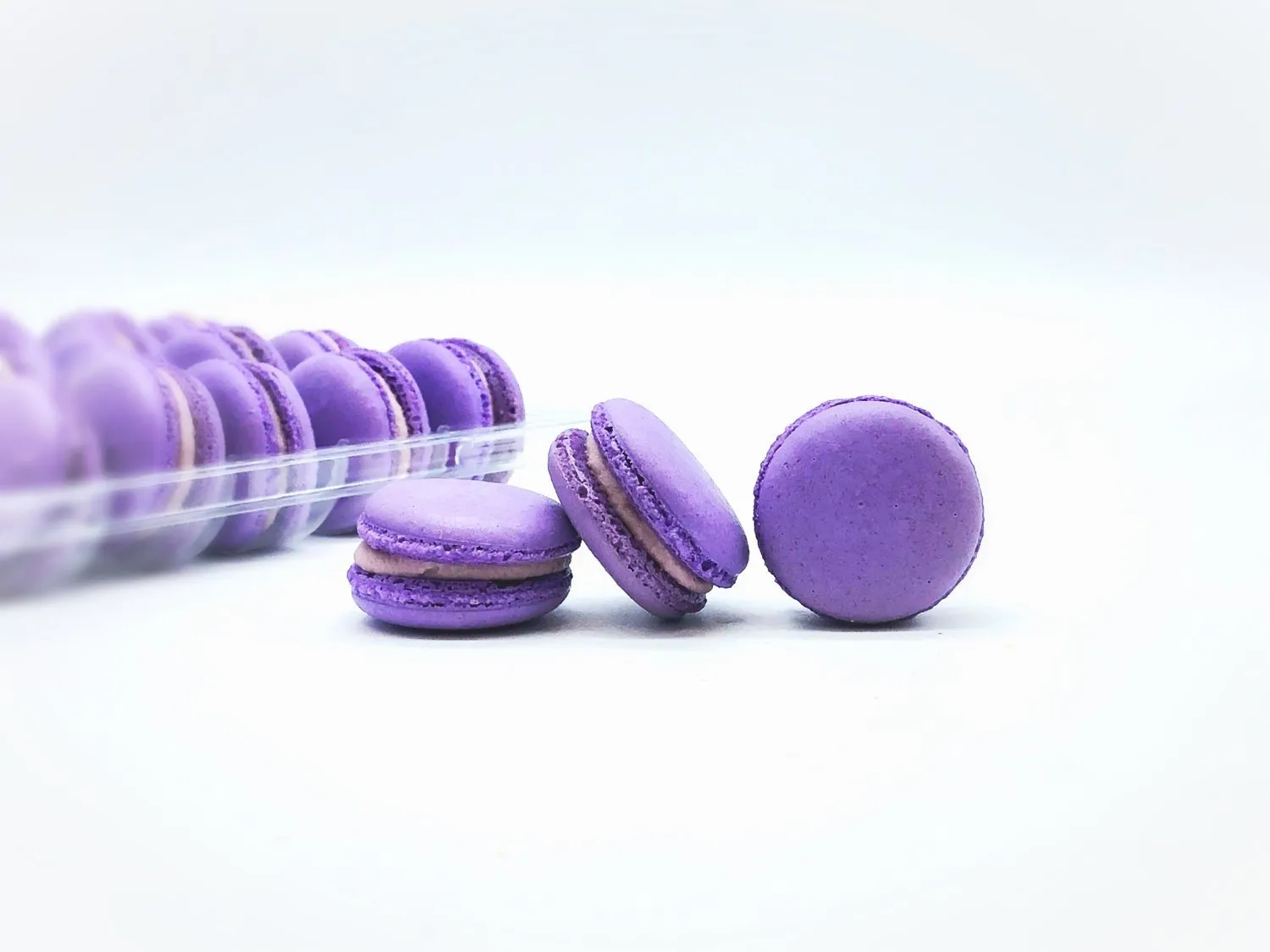 50 Pack Grape  French Macaron Value Pack