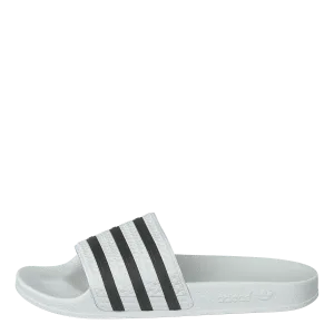 Adilette White/cblack/white