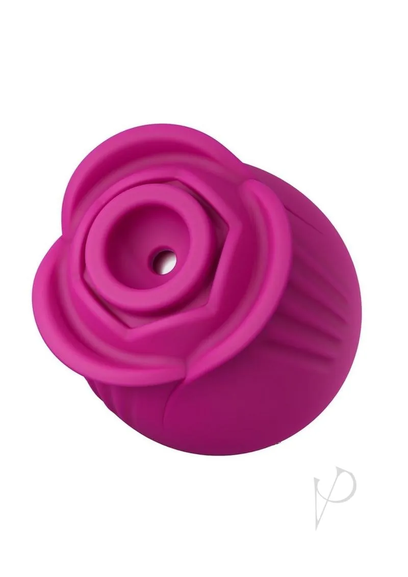 Blush Coll Original Rose Fuchsia