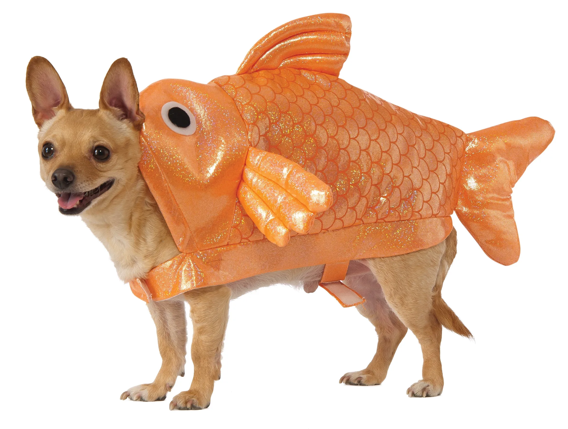 Dog Halloween Costumes | Gold Fish