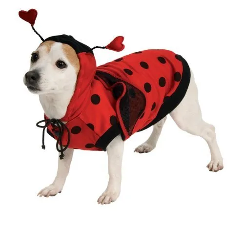 Lady Bug Pet Costume