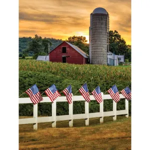 Patriotic Sunset Printed Backdrop