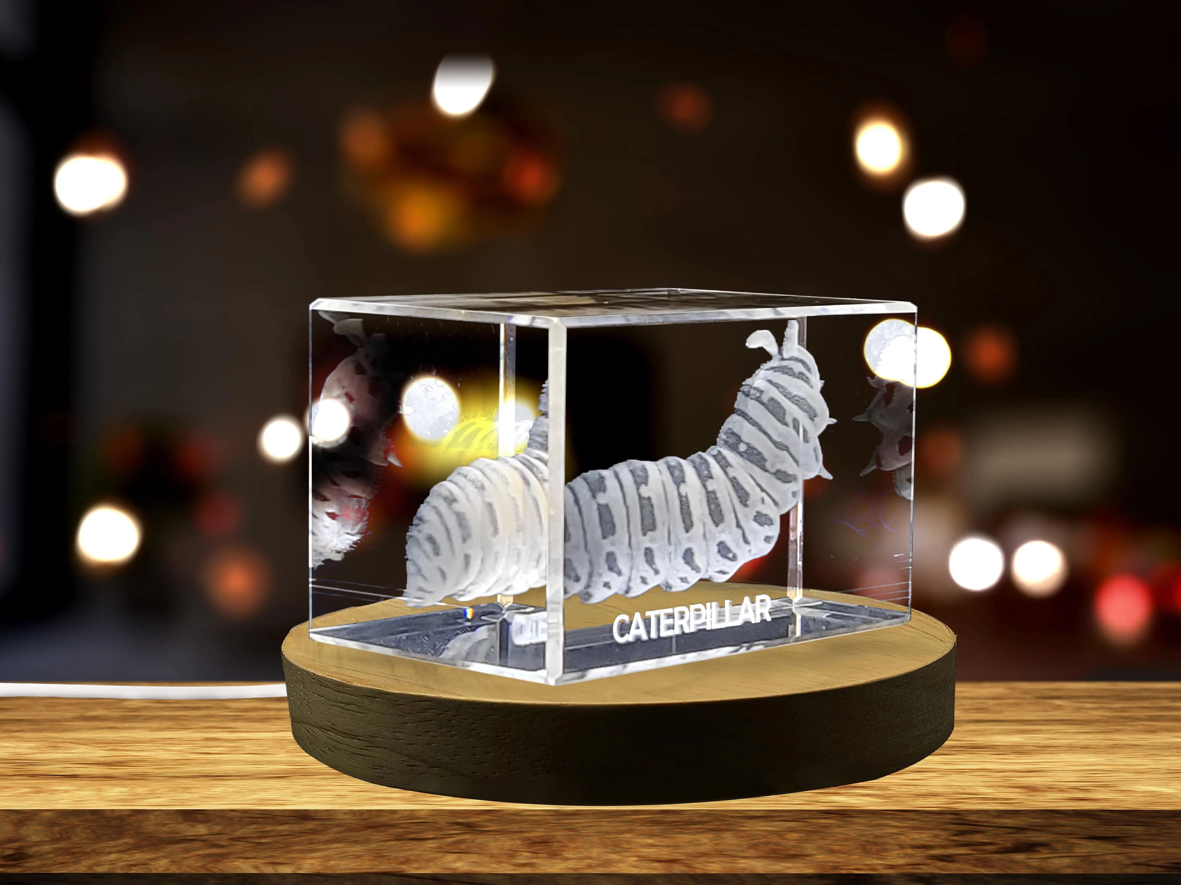 Unique 3D Engraved Crystal with Caterpillar Design - Perfect Gift for Nature Lovers