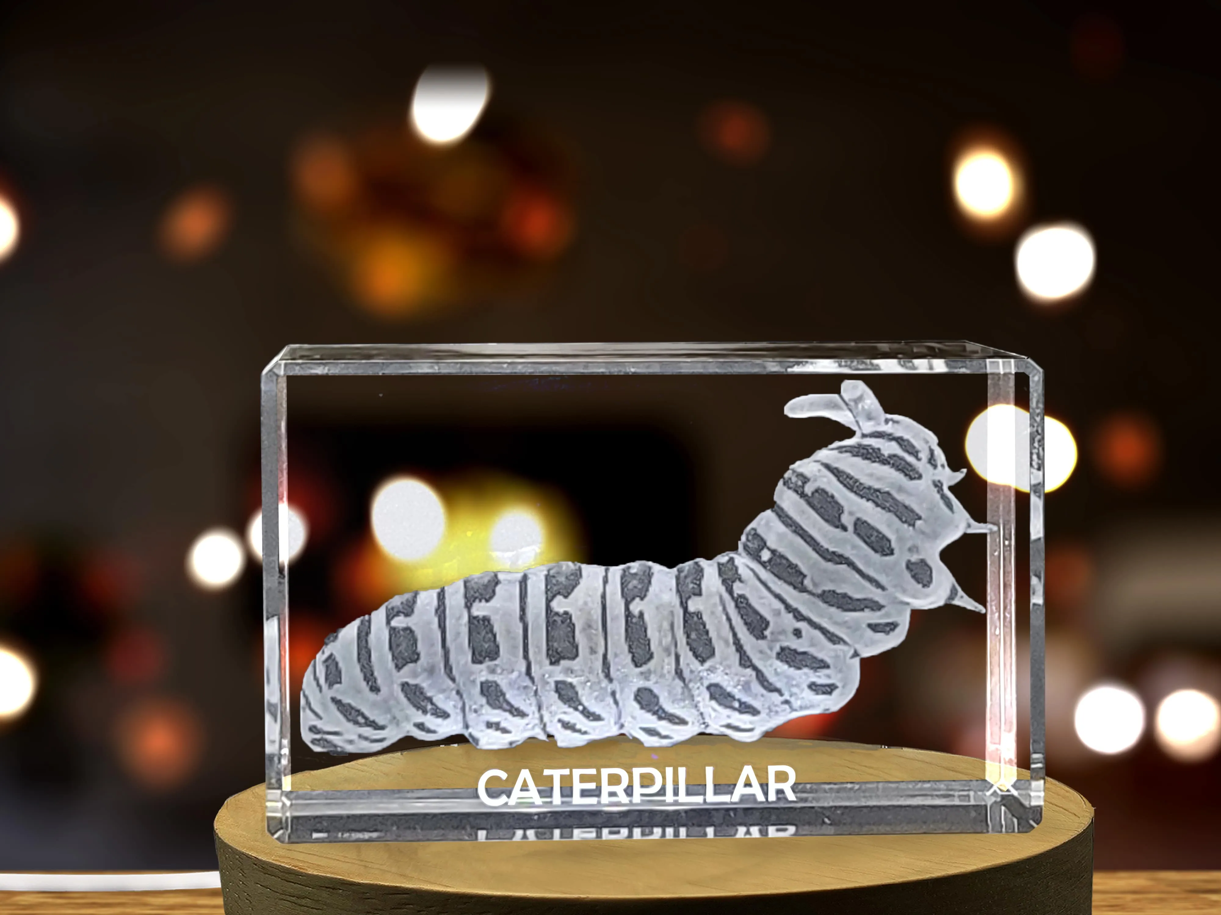 Unique 3D Engraved Crystal with Caterpillar Design - Perfect Gift for Nature Lovers